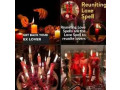 best-strong-working-traditional-spiritual-healer-lost-love-spell-vodoo-spells-27710730656-small-0
