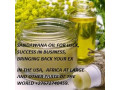 27672740459-sandawana-oil-for-luck-success-in-business-bringing-back-your-ex-in-the-usa-africa-atlarge-and-other-parts-of-the-world-small-0
