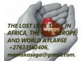 the-lost-love-spell-in-africa-the-usa-europe-and-world-atlarge-27633562406-small-0