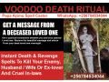 256784534044no-1-worldwide-extreme-death-revenge-spells-caster-small-0