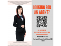 looking-for-an-agent-to-assist-you-small-0